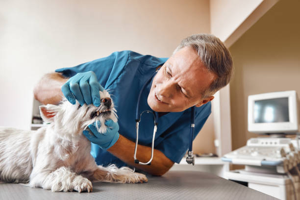 Best Emergency Dentist for Special Needs Patients in Brookwood, AL