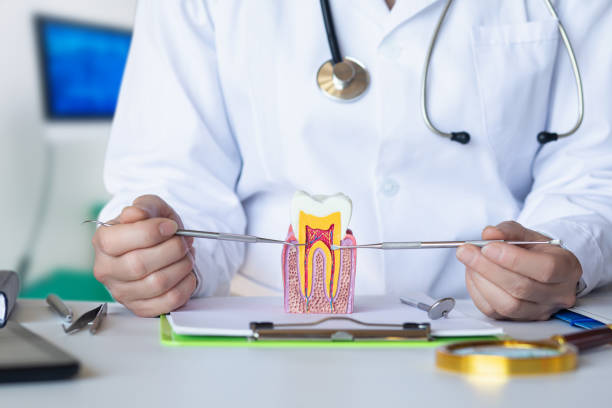 Best Broken or Cracked Tooth Emergency Dentist in Brookwood, AL